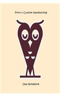Print & Cursive Handwriting Owl Notebook