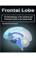 Frontal Lobe: The Neurobiology of the Cerebral and Prefrontal Cortex in the Human Brain