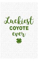 Luckiest Coyote Ever
