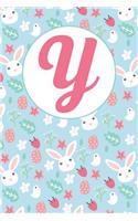 Y