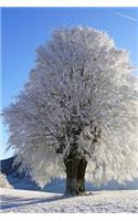 A Tree in Norway Covered in Frost Journal: Take Notes, Write Down Memories in this 150 Page Lined Journal