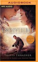 Indivisible