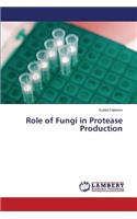 Role of Fungi in Protease Production