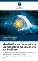 Klassifikation und automatische Segmentierung zur Erkennung von Leukämie