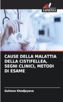Cause Della Malattia Della Cistifellea, Segni Clinici, Metodi Di Esame