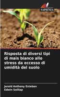 Risposta di diversi tipi di mais bianco allo stress da eccesso di umidità del suolo