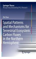 Spatial Patterns and Mechanisms for Terrestrial Ecosystem Carbon Fluxes in the Northern Hemisphere