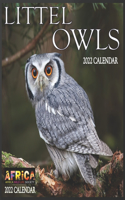 Little Owls CALENDAR 2022: 12 Month Mini Calendar from Jan 2022 to Dec 2022, Cute Gift Idea - Pictures in Every Month