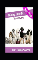 Taking Care Of Your Dog
