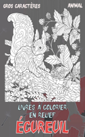 Livres à colorier en relief - Gros caractères - Animal - Écureuil