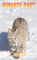 Bobcats Fact: BOBCATS fact for girl age 1-10 BOBCATS fact for boy age 1-10 facts about all about BOBCATS
