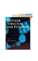 Nuclear Structure And Function