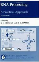 RNA Processing: A Practical Approach: v.2