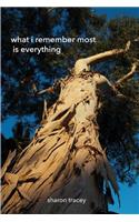 What I Remember Most Is Everything