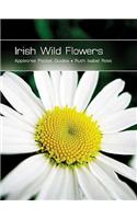 Irish Wild Flowers