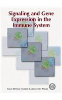Signaling & Gene Expression in the Immune System