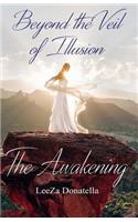 Beyond the Veil of Illusion
