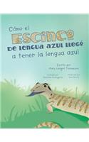 Cómo el escinco de lengua azul llegó a tener la lengua azul