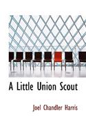 A Little Union Scout