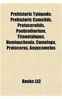 Prehistoric Tylopods: Prehistoric Camelids, Protoceratids, Poebrotherium, Titanotylopus, Hemiauchenia, Camelops, Protoceras, Aepycamelus