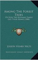 Among The Forest Trees