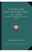 A Propos Des Blastomycetes Dans Les Tissus