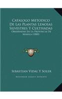 Catalogo Metodico De Las Plantas Lenosas Silvestres Y Cultivadas