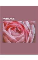 Particule: Boson, Fermion, Hadron, Quasi-Particule, Proton, Photon, Soliton, Nucleon, Graviton, Gluon, Phonon, Liste de Particule(French)