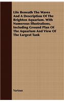 Life Beneath the Waves and a Description of the Brighton Aquarium. with Numerous Illustrations, Including Ground Plan of the Aquarium and View of the