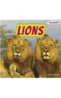Lions