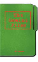 Gemini Files