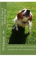 How To Train A Hunting Dog