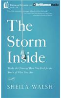 The Storm Inside