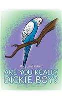 Are You Really Dickie Boy?