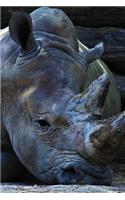 Rhinocereos Notebook: Blank Journal Diary Log(37 Wildlife 150 Lined)