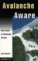 Avalanche Aware