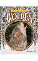 Wolves: (Smart Animals)