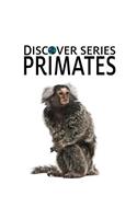 Primates