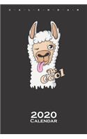 Lama 