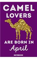 Camel Lovers Are Born In April