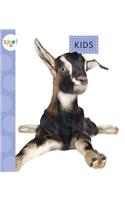 Kids