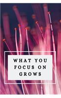 What You Focus on Grows