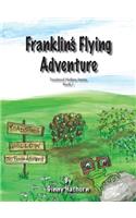 Franklin's Flying Adventure