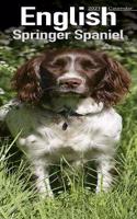 English Springer Spaniel 2021 Slim Calendar