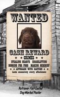 Retriever Flat-Coated Dog Wanted Poster: Isometric Dot Drawing Paper Notebook Featuring 120 Pages 6x9