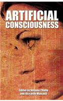 Artificial Consciousness