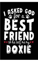I Asked God For A Best Friend So He Sent Me My Doxie