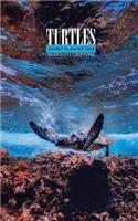 Turtles Weekly Planner 2018: 16 Month Calendar