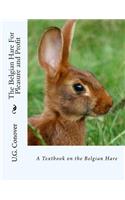 Belgian Hare For Pleasure and Profit