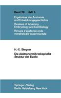 Die Elektronenmikroskopische Struktur Der Eizelle